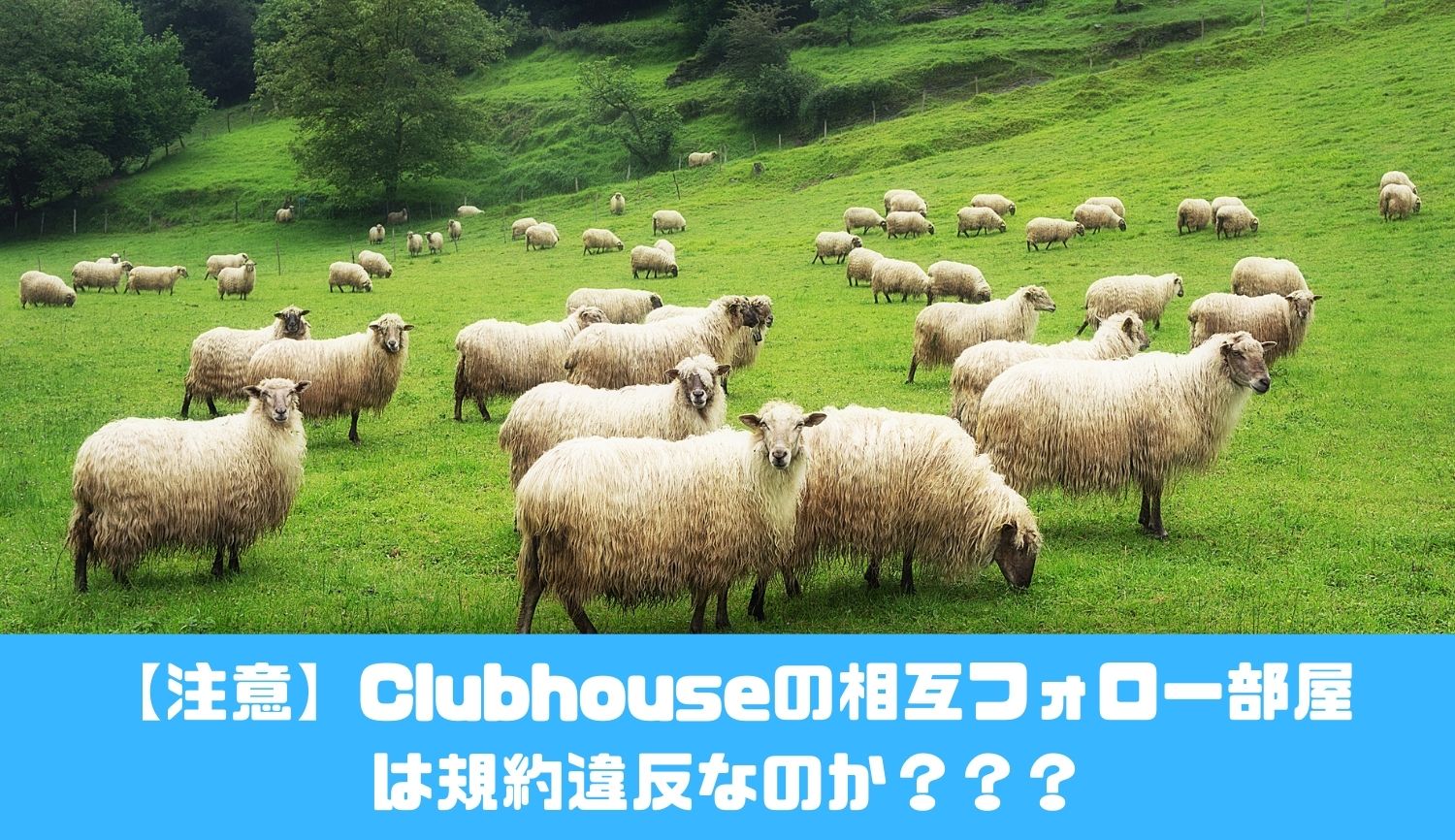 【注意】Clubhouseの相互フォロー部屋 は規約違反なのか？